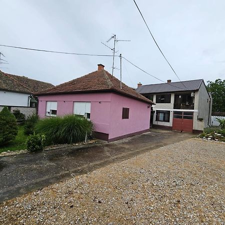 Apartmani, Sobe Ziza Bezdan Bagian luar foto