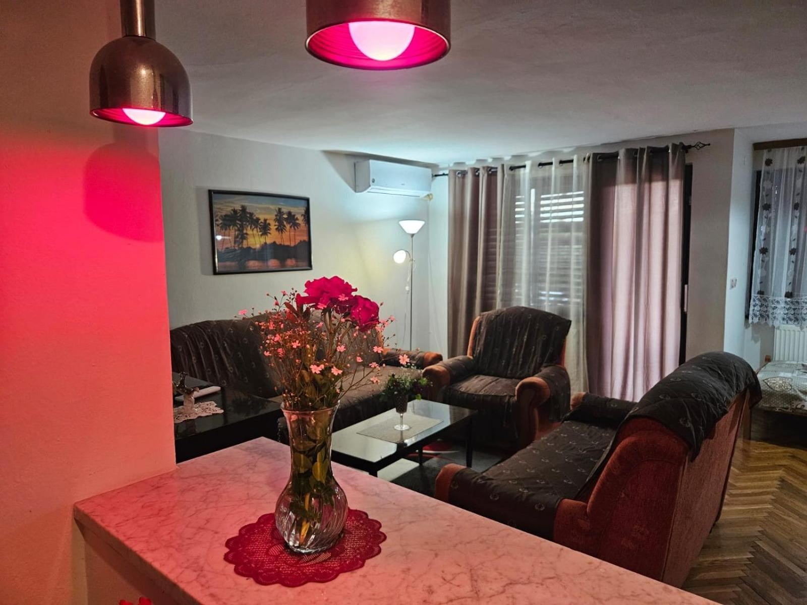 Apartmani, Sobe Ziza Bezdan Bagian luar foto