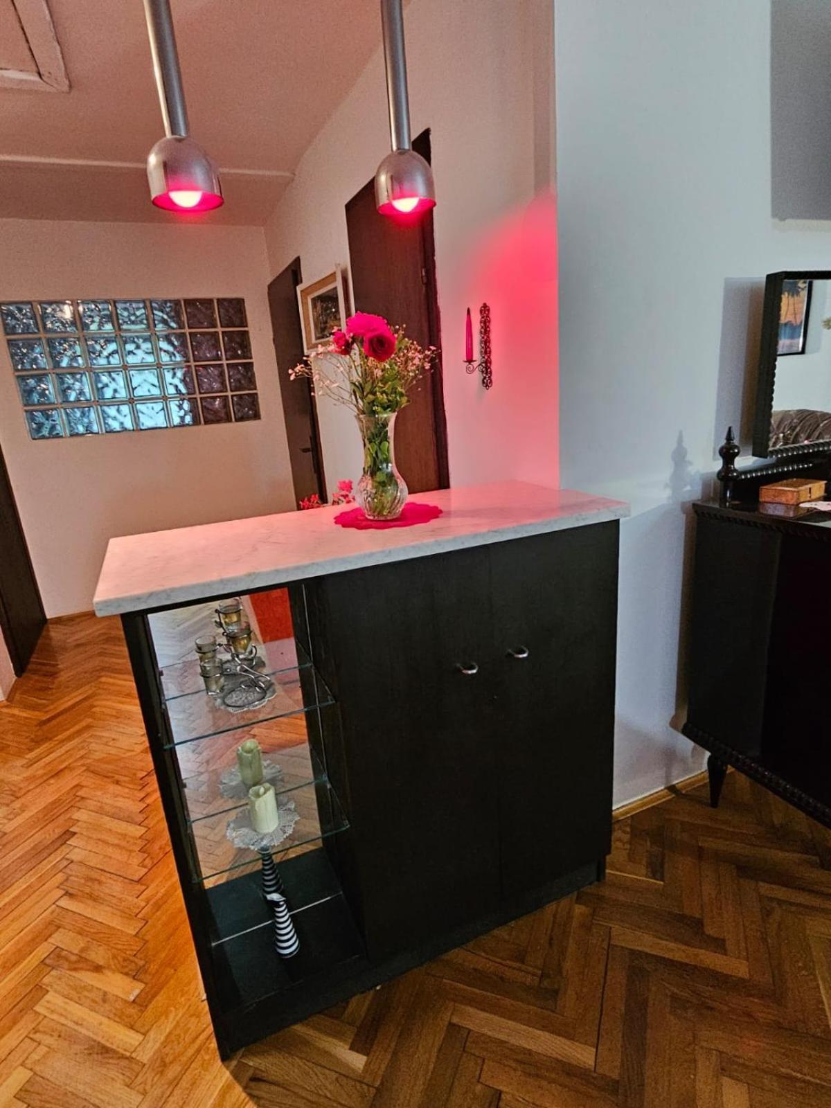 Apartmani, Sobe Ziza Bezdan Bagian luar foto