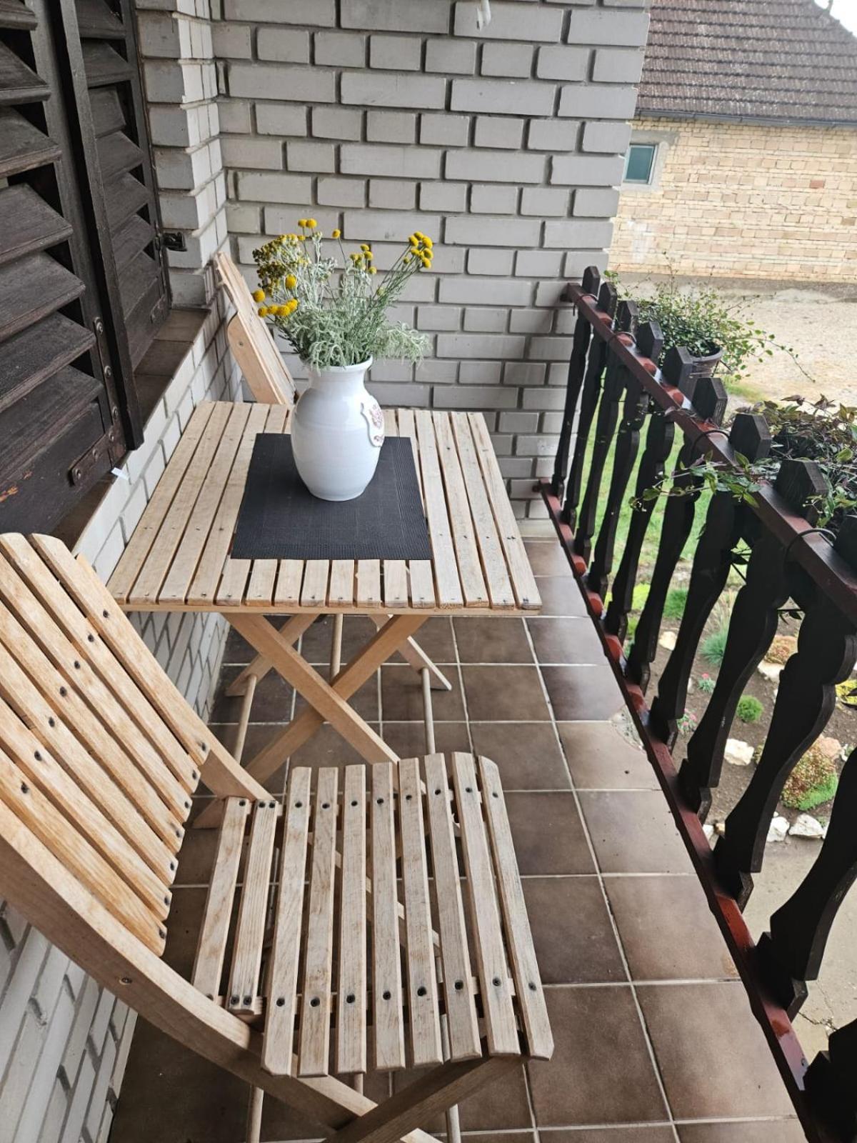 Apartmani, Sobe Ziza Bezdan Bagian luar foto